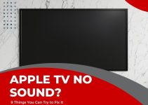 Apple TV No Sound?
